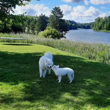 Spokojnia شقة أوسترودا