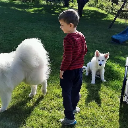 Spokojnia شقة أوسترودا