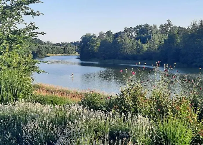 Apartament Spokojnia