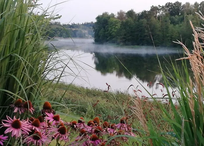 Spokojnia Apartament *