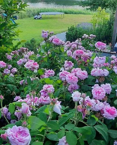 Spokojnia Apartament