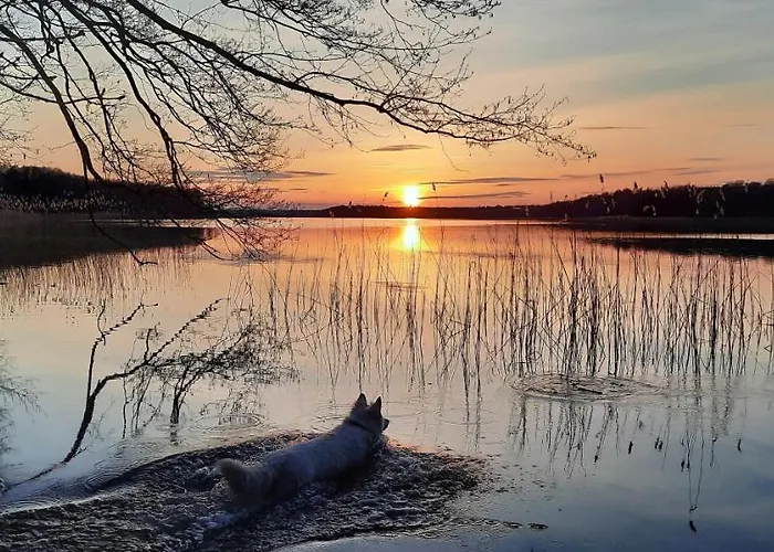 Apartament Spokojnia
