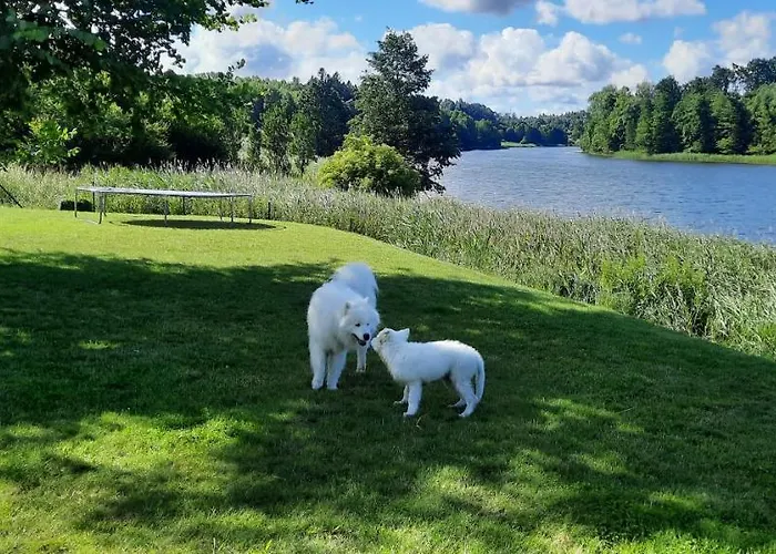Spokojnia Apartament Ostróda