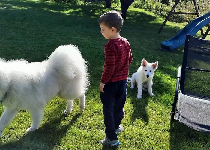 Spokojnia Apartament Ostróda